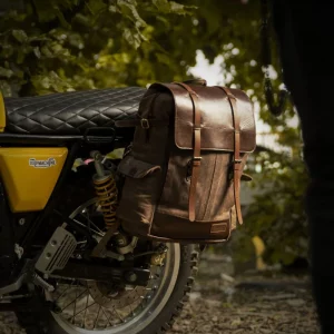 Rambler backpack pannier