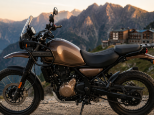 Sillín touring delantero - Himalayan 450