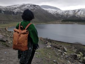 Backpack Pannier Classic Roll