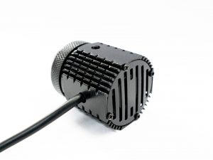 Juego de Exploradoras