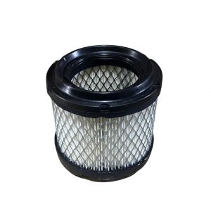 Filtro de Aire GT