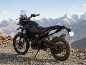 Sillín Rally - Himalayan 450