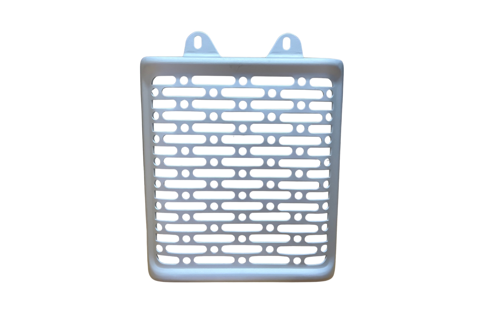 Protector Radiador Gris BR650 Ac - 7700149564434