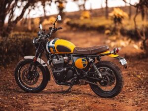 Silla Scramble Café - Bear 650